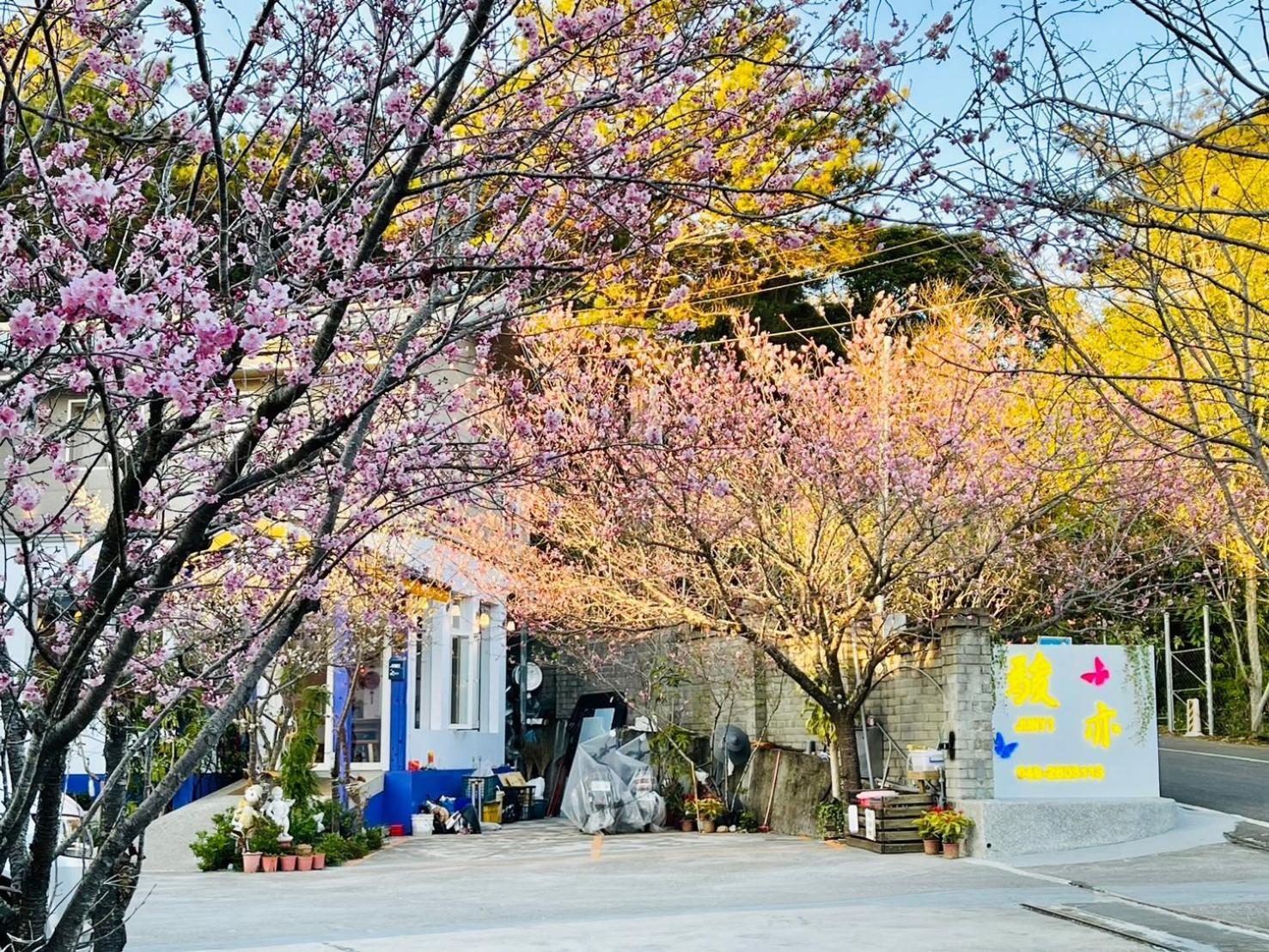 Junyi Landscape Villa Renai Buitenkant foto